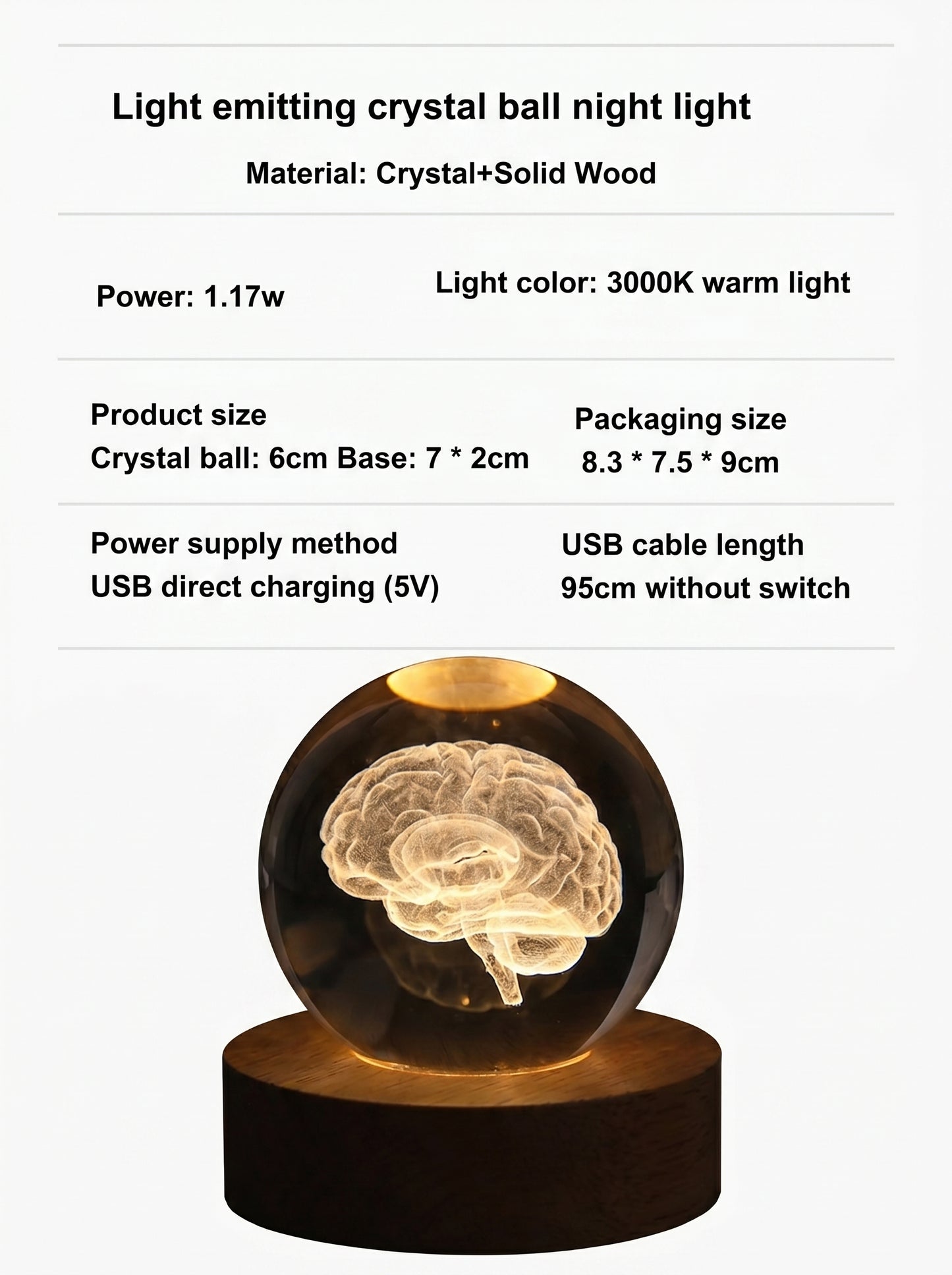 Esfera de Cristal con Cerebro Humano 3D Iluminado