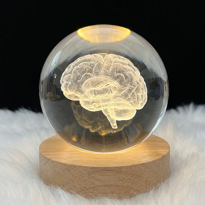 Esfera de Cristal con Cerebro Humano 3D Iluminado